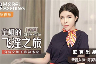 国产AV剧情-空姐的飞淫之旅-困顿篇负债空姐下海初体验MSD-037陈美琳