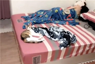 swag姐妹男友来拿东西 睡觉的我被插醒还被内射了