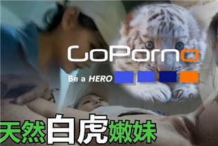 91大神Goporn新作甄选-高颜扫街实录内射爆操天然白虎嫩妹5