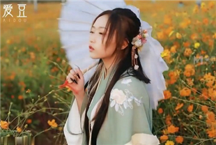 国产AV剧情-花田性事花田少女宽衣倾心