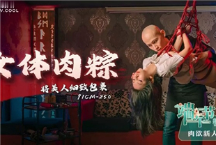 国产AV剧情-女体肉粽-小艺