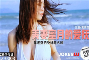 国产AV剧情-CZ-003美妻蜜月的爱抚