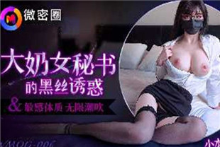 国产AV剧情-大奶女秘书的黑丝诱惑WMOG006小水水