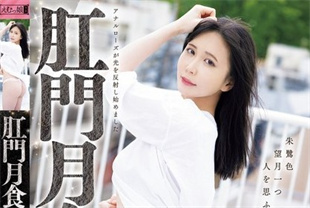 中字-无码流出绝无仅有的超级肛门观赏派对1-池内遥MISM411