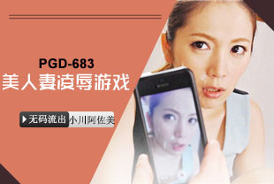 中字-无码流出美人妻凌辱游戏3-小川阿佐美PGD-683