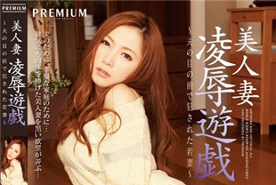 中字-无码流出美人妻凌辱游戏2-小川阿佐美PGD-683