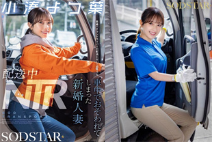 中字-配送中NTR新婚妻子在车内遭到袭击1-小凑四叶START350