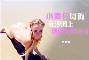 第一视角-小麦色母狗在沙滩泄出大量热液
