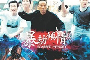 暴劫倾情