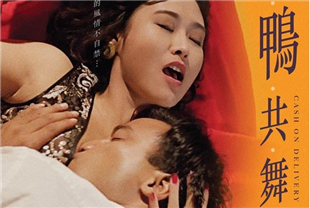 与鸭共舞