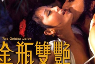 金瓶双艳