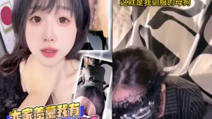 抖阴风 大家会羡慕我的骚货母狗吗？ 这么骚又主动的母狗不多了 撅起美臀求着鸡巴插入勐操
