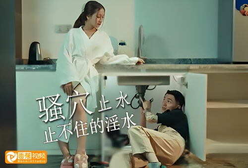 骚穴止水，良家骚妇勾引水管工