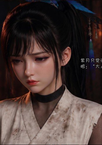 公开处刑的女侠