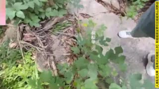 人渣大神乱伦会喷水的亲姐3次！和姐姐朋友野炊拉姐姐山洞野战