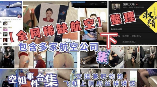 全网稀缺.航空整理包含多家航空公司下集