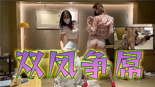 双凤争屌.